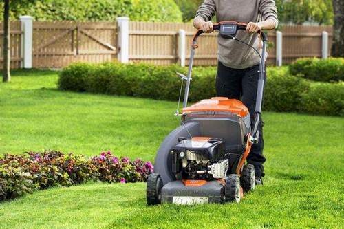 Craftsman Lawn Mower. A Review of Popular Models