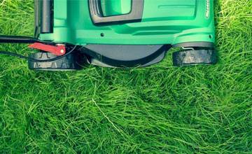 Do I Need To Clean Mowed Grass From The Lawn: Pros And Cons