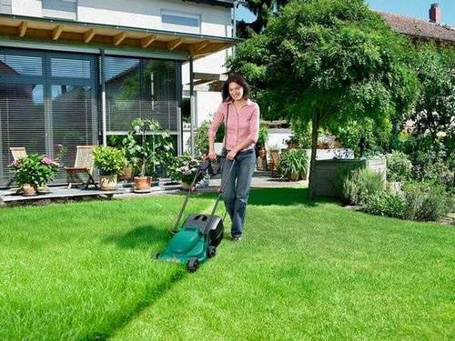 How to Choose the Right Lawnmower For Gardening?