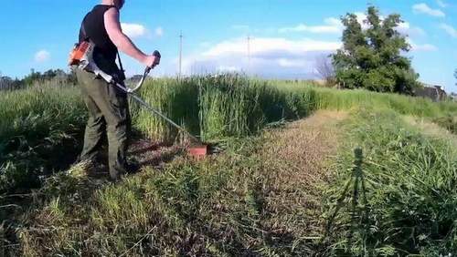 How to Mow Grass Properly with a Trimmer