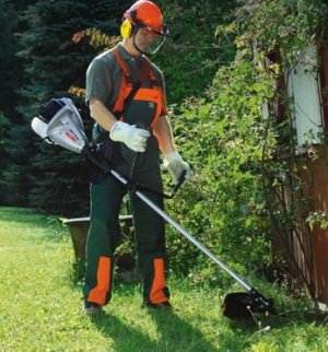 Petrol Trimmer For Giving Which Is Better To Choose