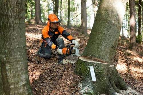 Stihl 362 How To Distinguish From A Fake