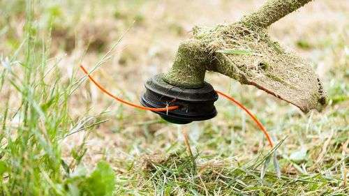 Electric Grass Trimmer Which Is Better To Choose