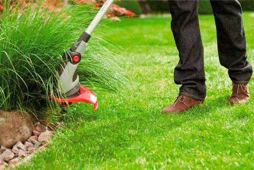 What Grass Trimmer To Choose