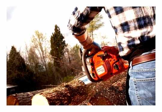 Inexpensive Chainsaw Which Is Better And More Reliable