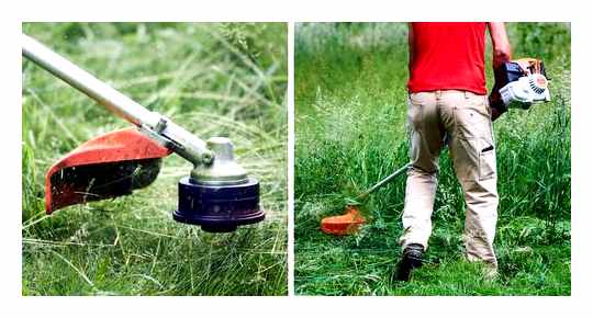 Which Trimmer Is Best For Tall Grass