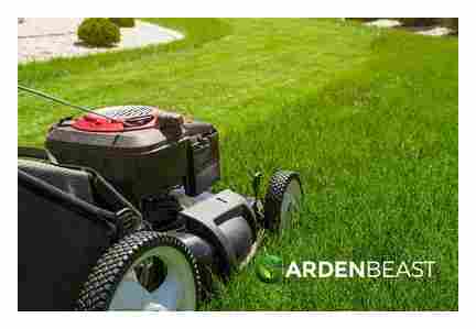 which, line, best, lawn, mowers