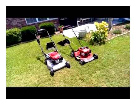 which, lawn, mower, better, self-propelled, non-self-propelled