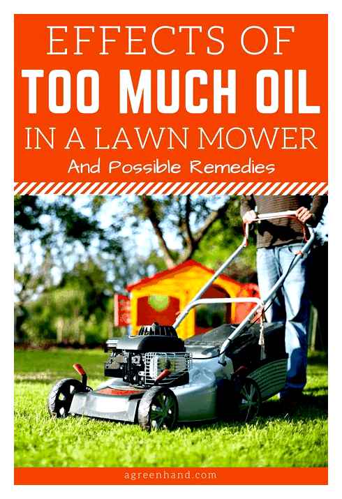 much, lawnmower