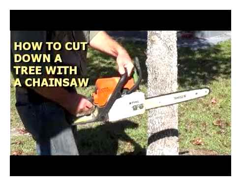 chainsaw, correctly