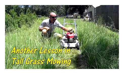 lawn, mower, tall, grass, their