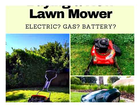 help, choose, electric, lawn