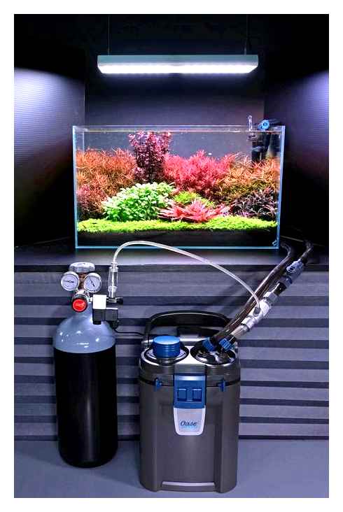 aquarium, compressor, gearbox, pressure