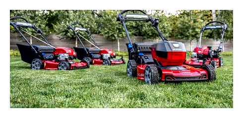 electric, mower, buzzing, does