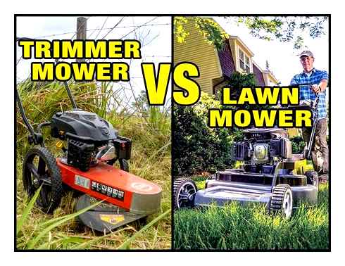 which, line, trimmer, lawn