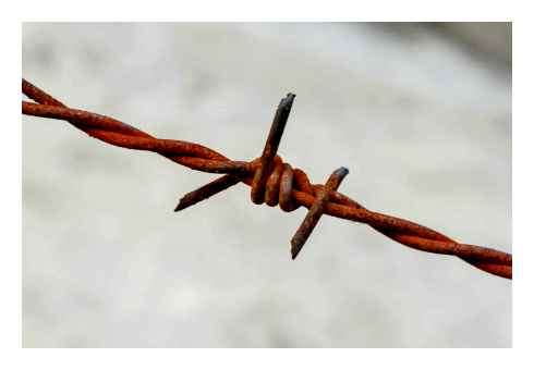 barbed, wire, make, fence, made