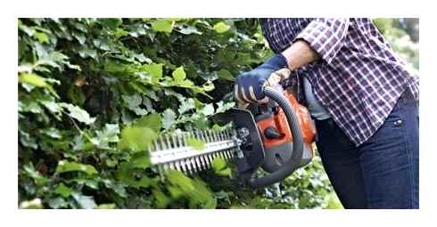 best, gas-powered, hedge, trimmers, 2023