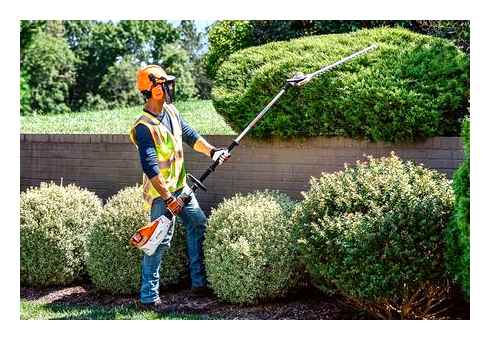 best, telescopic, hedge, trimmers, 2023, long