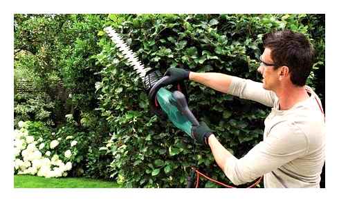 best, corded, electric, hedge, trimmers, tested