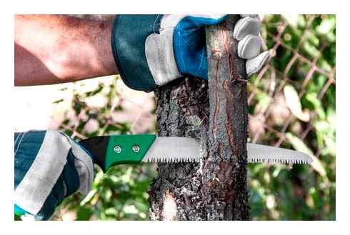 best, pruning, saws, 2023
