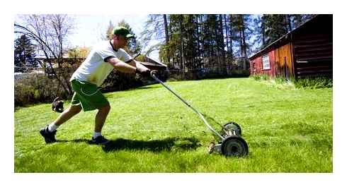 best, lawn, mower, tall, grass