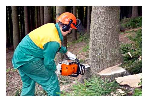 chainsaw, safety, gears, help, keep, safe