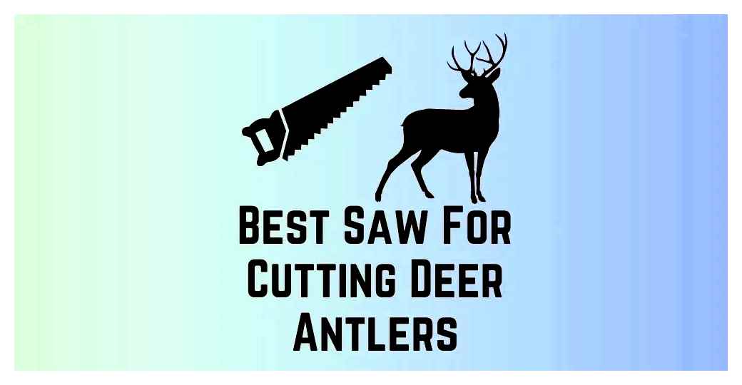 best, cutting, deer, antlers, bone