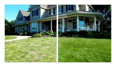 steps, simple, spring, lawn, care