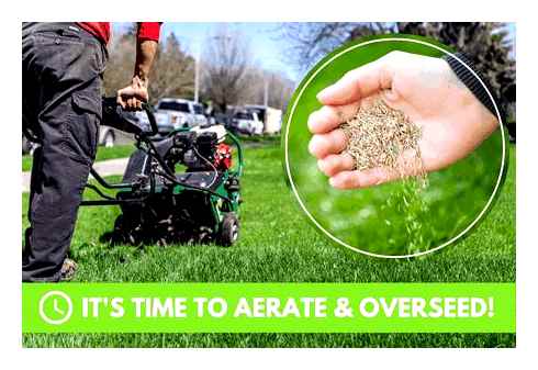 aeration, seeding, lawn, aerator, seeder