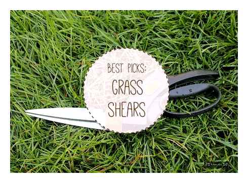 best, manual, grass, shears