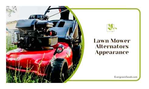 riding, lawn, mowers, alternators, alternator
