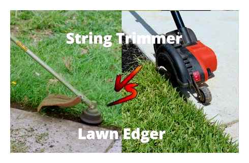 edger, trimmer, difference, weed