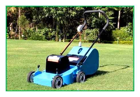 electric, lawn, mowers, types, costs, benefits