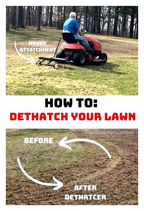 dethatch, lawn, mower, attachment, step