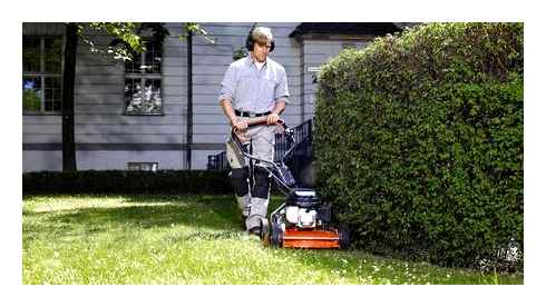 lawn, mowers, cutting, machine