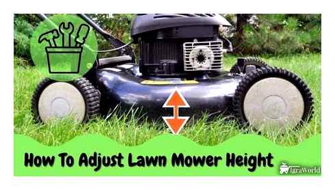 adjusting, reel, mower, height, adjust, lawn
