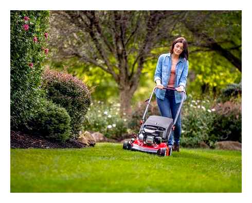 largest, push, mower, available, explore, lawn