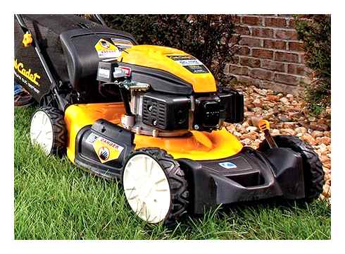 largest, push, mower, available, explore, lawn