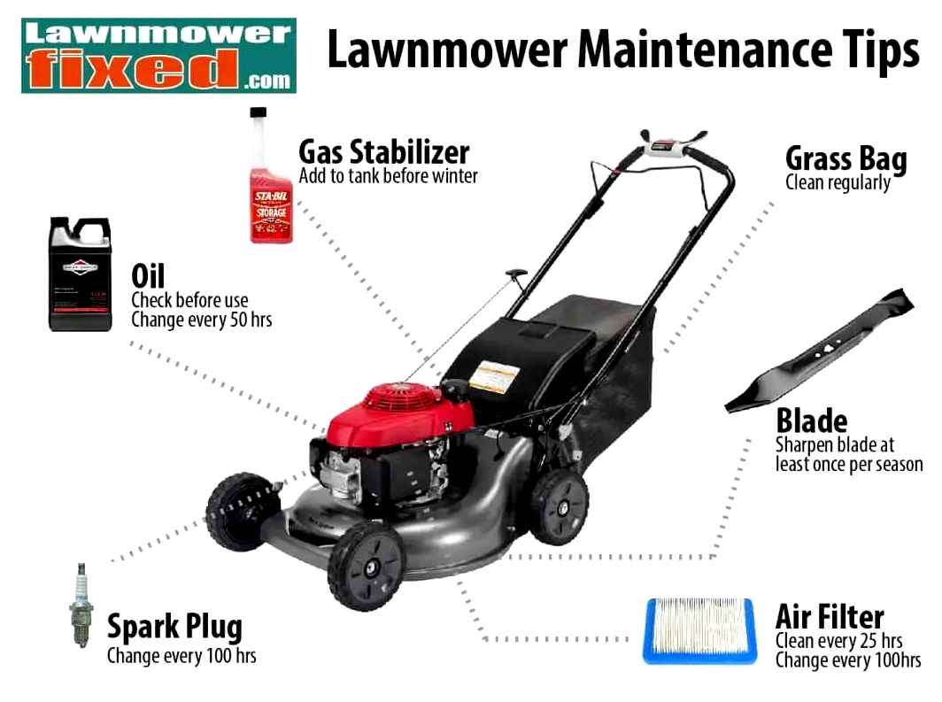 lawn, mower, maintenance, beginner