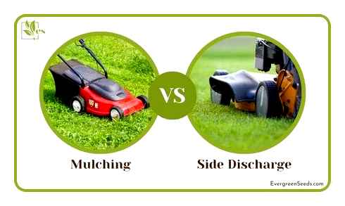 lawn, mower, side, mulching, discharge