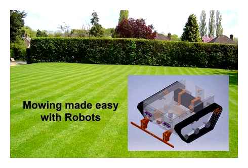 lawn, mower, robot, best