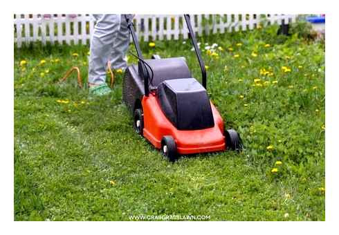 average, lawn, mower, size, much, does