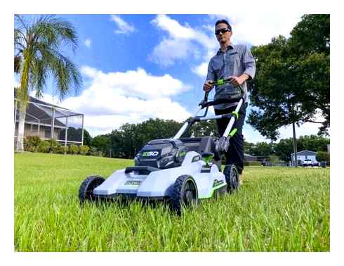 electric, mower, tall, grass, best, lawn
