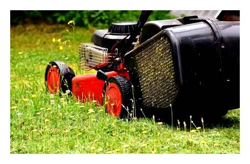 first, electric, lawn, mower, mowers, decide