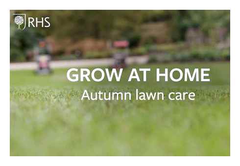 lawn, care, autumn, tips, yours