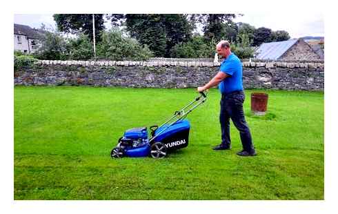 lawn, mower, cable, tidy, best