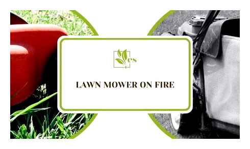 lawn, mower, caught, fire, grass