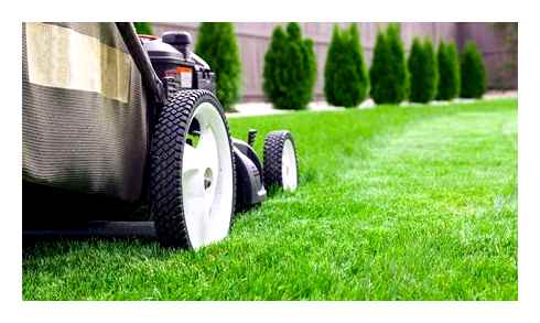 lawn, mower, perform, maintenance