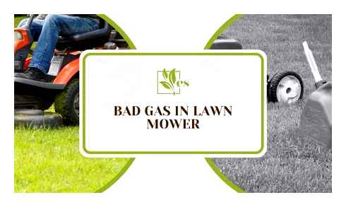 lawn, mowers, fuel, symptoms