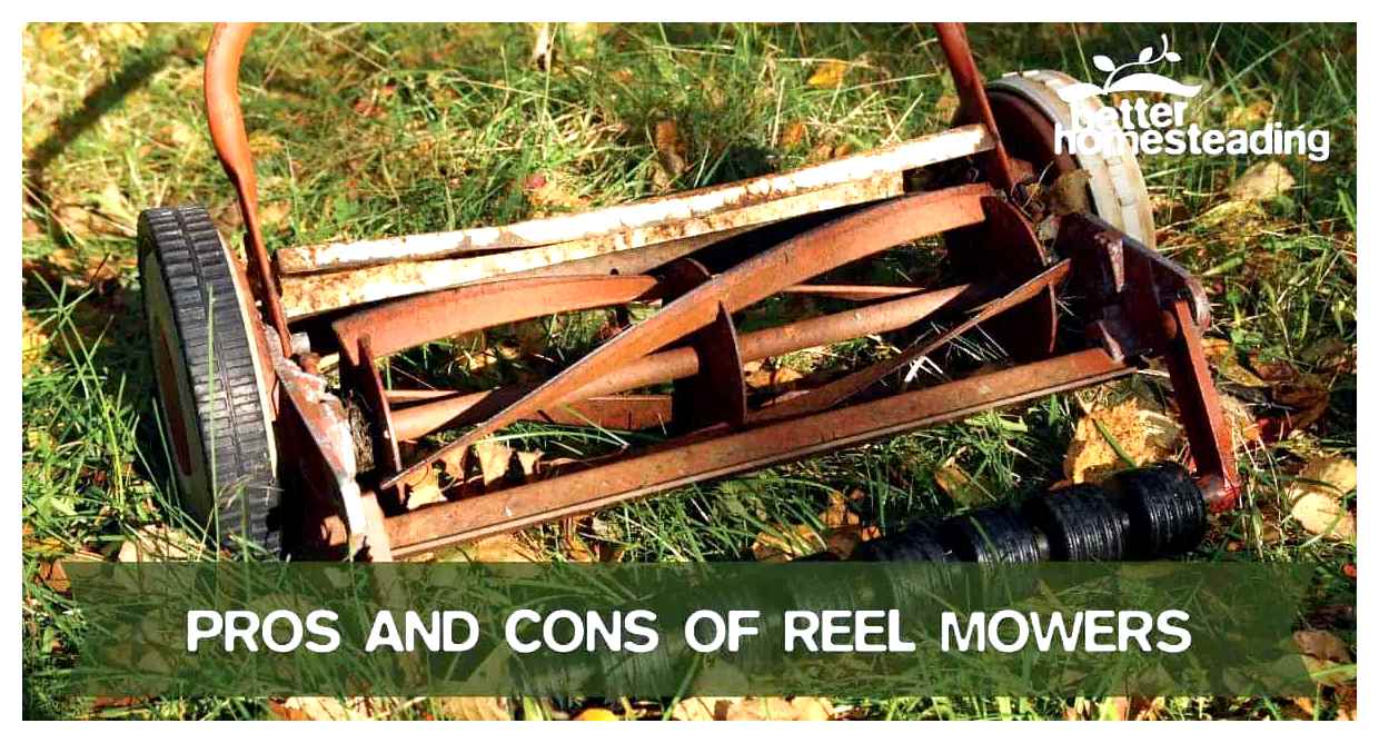 reel, mower, long, grass